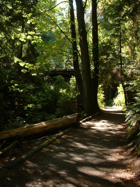 Stanley Park 6th view